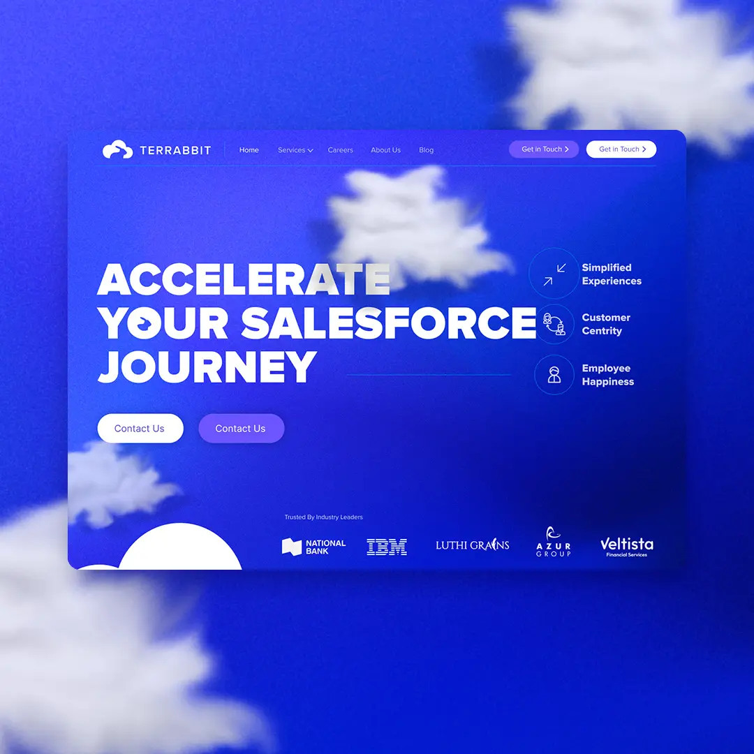 Terrabit project